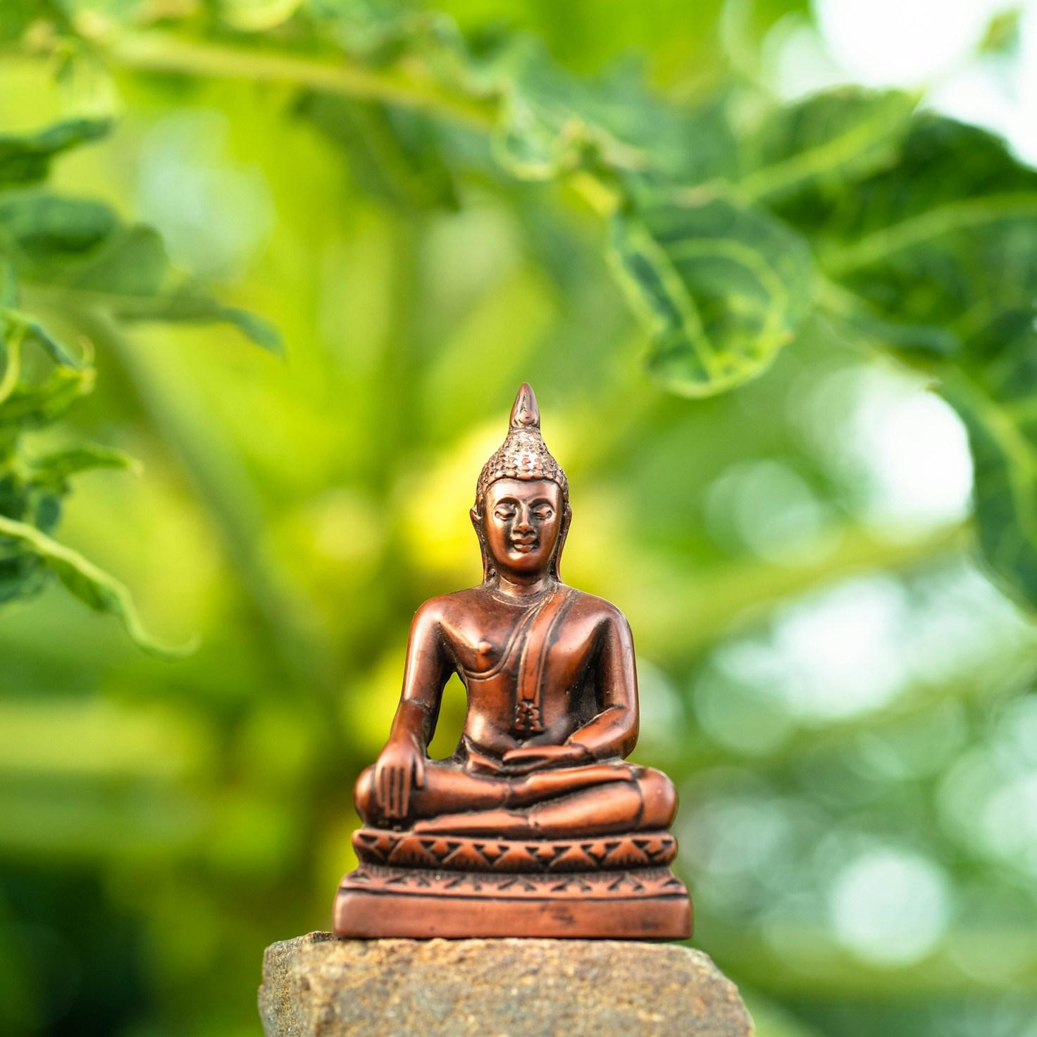 Meditation practice space with cushions arranged in circle
